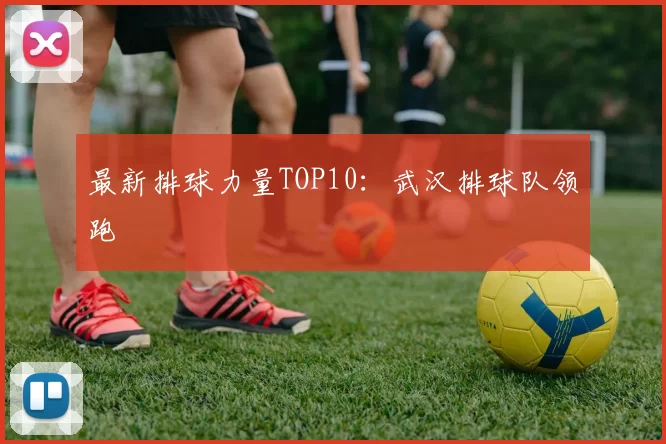 最新排球力量TOP10：武汉排球队领跑