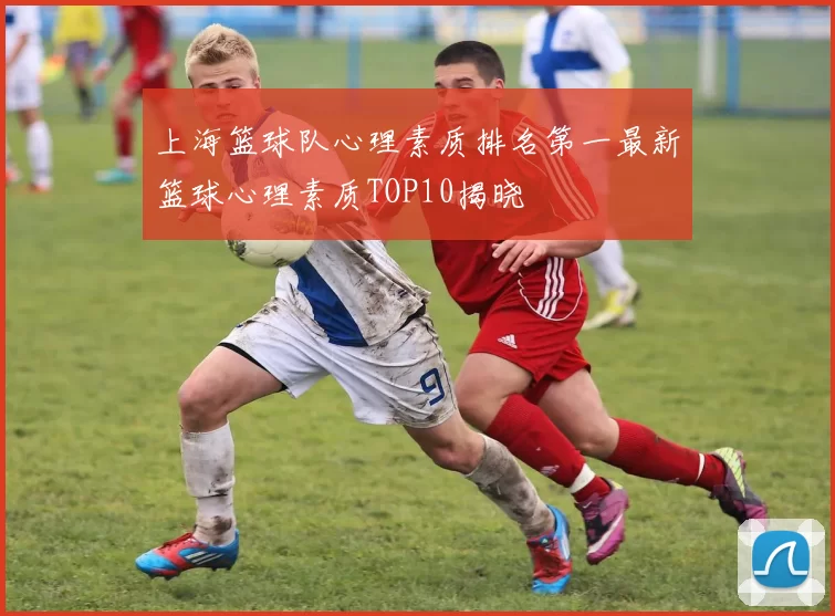 上海篮球队心理素质排名第一最新篮球心理素质TOP10揭晓