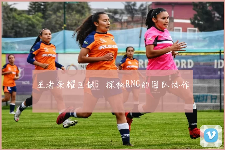 王者荣耀巨献：探秘RNG的团队协作