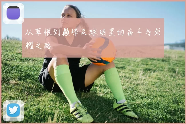 从草根到巅峰足球明星的奋斗与荣耀之路