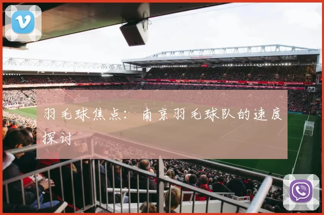 羽毛球焦点：南京羽毛球队的速度探讨
