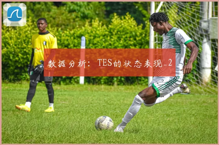 数据分析：TES的状态表现_2